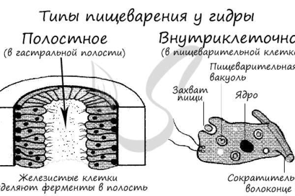 Не заходит на кракен