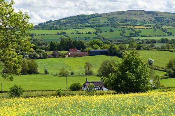 Кракен мага