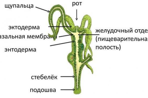 Кракен как проверить зеркало