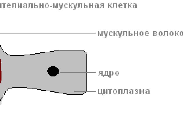 При входе на кракен пишет вы забанены