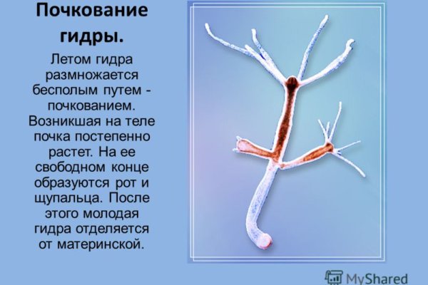 Новая ссылка на кракен